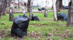 Общерайонный субботник