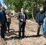 Реализация Федерального проекта "Формирование комфортной городской среды" в городе Марксе в 2020 году *** Саратовская область, город Маркс - май 2020 год (marksadm.ru) - Марксовский район