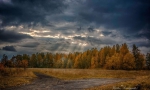 В МАРКСЕ ПАСМУРНО
