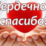Благодарим за помощь! 1 - News.VMarkse.Ru