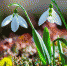 dd83c49036de2f77a3684c1996ba982a - News.VMarkse.Ru