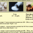 WhatsApp Image 2022-03-25 at 16.20.09 - News.VMarkse.Ru