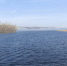 В Марксе облачно, но без осадков - Интернет-газета Объектив