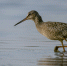 ИЗ ПОЭТИЧЕСКОЙ ТЕТРАДИ САЛИМЖАНА ГАЙСИНА - Интернет-газета Объектив