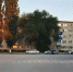 В Марксе иномарка сбила 13-летнюю девочку, которая переходила дорогу по пешеходному переходу 1 - News.VMarkse.Ru