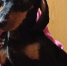 WhatsApp Image 2022-09-15 at 11.38.35 - News.VMarkse.Ru
