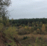 В МАРКСЕ ПАСМУРНО - Интернет-газета Объектив