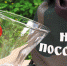 ИЗ ПОЭТИЧЕСКОЙ ТЕТРАДИ САЛИМЖАНА ГАЙСИНА - Интернет-газета Объектив