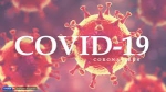 За неделю в Марксовском районе диагностировано 34 случая Covid-19 | 1