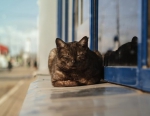 В МАРКС ПРИХОДИТ ТЕПЛО