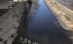 В МАРКС ПРИШЛО ТЕПЛО