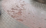В МАРКСЕ ВЕСНА