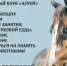 d6lfrXYdFyiB_dWEGb2t-TzMChYlisQasnvionF7W3WxXkffSNnE7uvcegZ0ljus4TTKz7AdtnYOphWvkCHQjAel - News.VMarkse.Ru