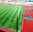 stadion start | Приглашаем любителей бега на стадион! | События в Марксе - News.VMarkse.Ru