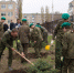 0421 Vysadka derevev shkola 1 DSC 6783 | "Сад памяти" появился во дворе школы №1 г.Маркса | События в Марксе - News.VMarkse.Ru