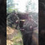 bojtsy peredali privet marksovsk | Бойцы передали привет Марксовским школьникам с линии фронта | События в Марксе - News.VMarkse.Ru