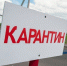 karantin | В Марксовском районе ввели карантин из-за бешеных котов | События в Марксе - News.VMarkse.Ru