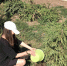 S1ygifeqTzk - News.VMarkse.Ru