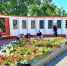 photo_2023-07-18_16-50-16 - News.VMarkse.Ru