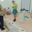 photo_2023-07-28_14-24-29 - News.VMarkse.Ru
