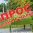 опрос - News.VMarkse.Ru