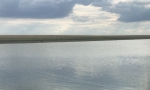 В МАРКСЕ ПАСМУРНО