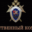ПО ЧИСЛУ ОБРАЩЕНИЙ В СК РФ СНОВА В ЛИДЕРАХ - Интернет-газета Объектив