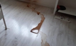 ПОТОП!