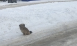 В МАРКСЕ — ОТТЕПЕЛЬ