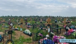 СТРЕМИТЕЛЬНО ВЫМИРАЕМ?