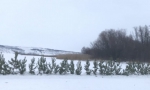 В МАРКСЕ ОЧЕНЬ ХОЛОДНО
