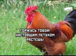 ОЧКУЕТ?