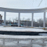 В МАРКСЕ ЛЁГКИЙ ВЕТЕР - Интернет-газета Объектив
