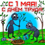 МАЙ! МИР! ТРУД!