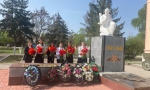 Тюльпан ветерану