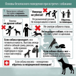 Администрация Марксовского муниципального района информирует жителей о недопущение нарушений правил содержания домашних животных *** Саратовская область, город Маркс - март 2025 год (marksadm.ru)