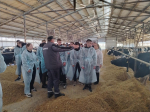 В Марксовском филиале ФГБОУ ВО Вавиловского университета прошел ряд мероприятий *** Саратовская область, город Маркс - апрель 2025 год (marksadm.ru)