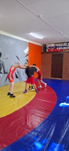 В летнем оздоровительном лагере "Иволга" продолжаются тренировки у юных борцов греко-римского стиля *** Саратовская область, город Маркс - июнь 2025 год (marksadm.ru)