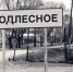 У ПОЛИЦЕЙСКИХ ЗАБРАЛИ ДЕЛО О ТРАГЕДИИ В ПОДЛЕСНОМ - Интернет-газета Объектив