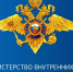 По решению Президента Российской Федерации для граждан Республики Молдова действуют особые льготы и условия пребывания в нашей стране - Интернет-газета Объектив