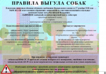 Новые правила содержания домашних животных в Саратовской области *** Саратовская область, город Маркс - август 2026 год (marksadm.ru)