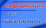 Интернет помнит всё: твоя цифровая безопасность