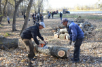 В Марксовском районе прошёл субботник по благоустройству. На уборку общественных территорий и участков вышли более 400 человек *** Саратовская область, город Маркс - октябрь 2026 год (marksadm.ru)